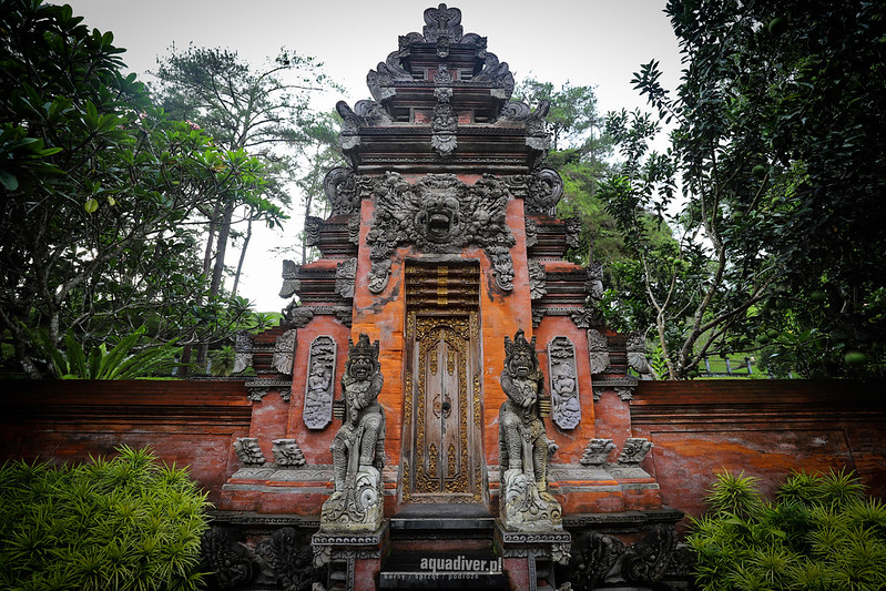Polak na Bali