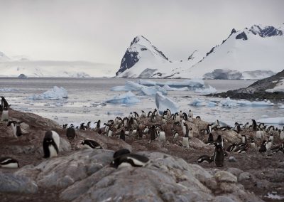 Antarktyda wyprawa